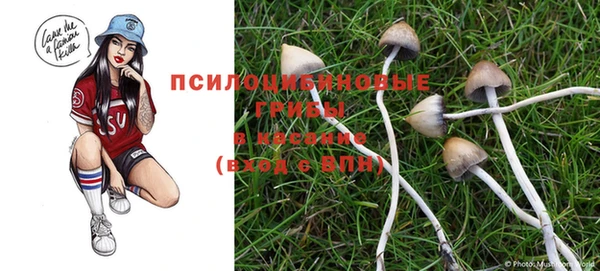 марки lsd Белоозёрский
